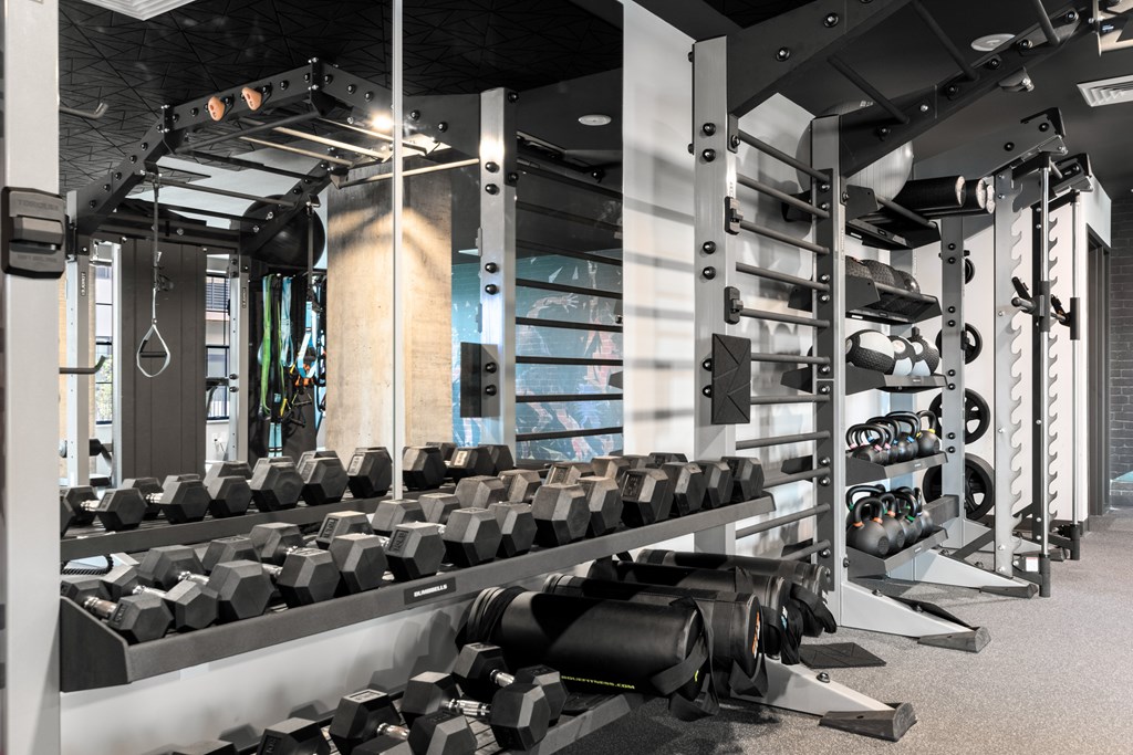 a row of black dumbbells in a gym